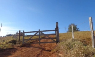 Imóvel 2964578 [''] - ['Estrada Distrito de Juréia ao Bairro Pinhal, km 1, s/n - Sítio Pinhal - Zona Rural - Monte Belo / MG'] [''] - ['Monte Belo']/['MG'] - 1
