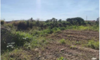 Imóvel 2949678 [''] - ['Terreno c/ 10.000m², Lote 11, Bairro Lidia, Gleba Celeste'] [''] - ['Sinop']/['MT'] - 1
