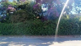 Imóvel 2658978 [''] - ['Avenida Henrique Monat, 862, Belvedere, Caxambu, MG'] ['Caxambu'] - ['Caxambu']/['MG'] - 1