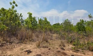 Imóvel 2606078 [''] - ['FAZENDA SÃO LORENÇO, FAZENDA, MUTUM, MUTUNOPOLIS - GO, CEP 76.540-000'] [''] - ['Mutunópolis']/['GO'] - 1