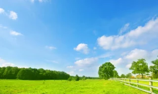 Imóvel 2707078 [''] - ['FAZENDA SALITRE'] [''] - ['Presidente Olegário']/['MG'] - 1