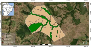 Imóvel 2622078 [''] - ['Zona Rural,174173,UMA GLEBA DE TERRAS RURAIS, DENOMINADA FAZENDA GROTINHA - VALE DAS CUNHÃS., COLINAS DO TOCANTINS/TO - CEP: 77760-000'] ['Centro'] - ['Colinas Do Tocantins']/['TO'] - 1