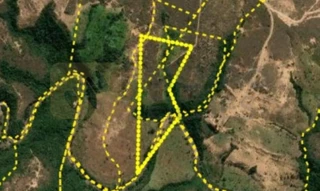 Imóvel 2576178 [''] - ['Fazenda Morro Limpo, São Gonçalo do Abaeté - MG'] [''] - ['São Gonçalo Do Abaeté']/['MG'] - 1