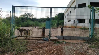 Imóvel 2568578 [''] - ['R. do Netinho, Campos Verdes - GO, 76515-000, Brasil'] [''] - ['Campos Verdes']/['GO'] - 1