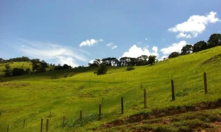 Imóvel 2590278 [''] - ['FAZENDA MACACOS- ZONA RURAL ASSENTAMENTO SANTO ANTÔNIO, PRÓXIMO À REGIÃO DOS MOREIRAS'] [''] - ['Presidente Olegário']/['MG'] - 1