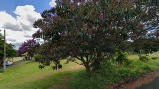 Imóvel 3020478 [''] - ['R. Benedito Forni Jardim Baronesa Da Mota Paes - Espirito Santo Do Pinhal/SP 13992-146'] [''] - ['Espírito Santo Do Pinhal']/['SP'] - 1