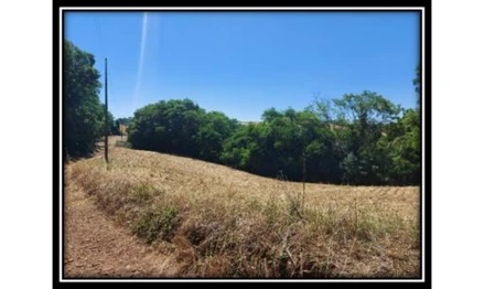 Terreno em Marau, , lugar denominado Anita Garibaldi, Distrito da sede do município de Vila Maria, RS. Área: 193600m2 - imagem 0