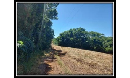 Terreno em Marau, , lugar denominado Anita Garibaldi, Distrito da sede do município de Vila Maria, RS. Área: 193600m2