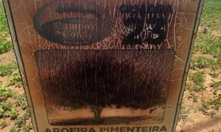 Imóvel 2689778 [''] - ['RUA 8'] ['São Goncalo'] - ['Petrolina']/['PE'] - 1