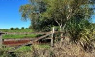 Imóvel 2873678 [''] - ['Estrada Bela Vista, Bairro Alto Alegre, km 21, zona rural'] [''] - ['Campina Da Lagoa']/['PR'] - 1