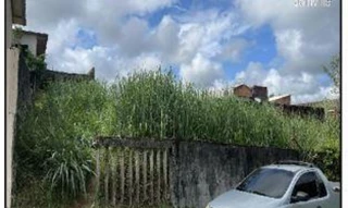 Imóvel 2394478 ['10215807'] - ['RUA JOSÉ LAERCIO THOMAZELLI,N. 00 QD 03, LT 06, ROCIO PEQUENO - CEP: 89333-140, SAO FRANCISCO DO SUL - SANTA CATARINA'] ['Rocio Pequeno'] - ['São Francisco Do Sul']/['SC'] - 1