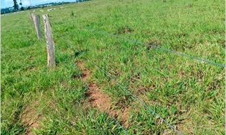Imóvel 2920278 [''] - ['Lote 16-A, da Gleba 34'] [''] - ['Colorado Do Oeste']/['RO'] - 1