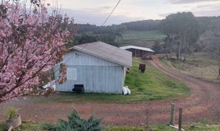 Imóvel 2661078 [''] - ['Rua Adolfo Soletti, s/n - Área 5 - Centro - Frei Rogério / SC'] [''] - ['Frei Rogério']/['SC'] - 1