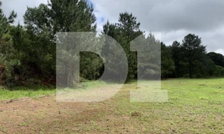 Imóvel 2678478 [''] - ['Rodovia Régis Bittencourt, S/N, Parque Santa Amélia'] ['Parque Santa Amelia'] - ['Itapecerica da Serra']/['SP'] - 1