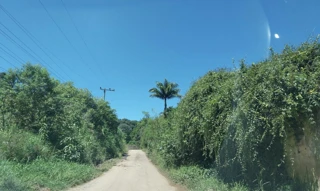 Imóvel 2867578 [''] - ['Rua Salvador Carbonelli, s/nº, lote 13, Quadra A, Canjica'] [''] - ['Mairiporã']/['SP'] - 1