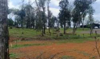 Imóvel 3045278 [''] - ['sito em Linha Santa Terezinha e Alto Suruvy, neste Município de Concórdia, SC/'] [''] - ['Concórdia']/['SC'] - 1
