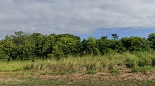 Imóvel 1712178 [''] - ['A. Rural, Area Rural De Sao Mateus'] [''] - ['São Mateus']/['ES'] - 1