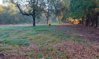 Imóvel 2054579 ['IDR177214'] - ['Rua Paschoal C. Baricelo, s/n, Viuval, Bariri, SP, 17250-023'] [''] - ['Bariri']/['SP'] - 1