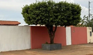Imóvel 2929979 [''] - ['Rua Do Garcas, 672, Lote 12, Qd 48, Centro, Santo Antonuio do Leste, MT'] [''] - ['Santo Antônio Do Leste']/['MT'] - 1