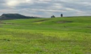 Imóvel 2699779 [''] - ['Sem Denominação, s/nº - Chácara das Figueiuras - Zona Rural - Rosário do Sul / RS'] [''] - ['Rosário do Sul']/['RS'] - 1