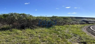 Imóvel 2291479 [''] - ['Fazenda dos Fundos, s/n, aos fundos do Aeroporto Regional de Correia Pinto - Localidade de Bandeirinhas, em Correia Pinto/SC'] [''] - ['Correia Pinto']/['SC'] - 1