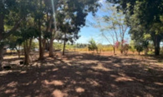 Imóvel 2864779 [''] - ['Fazenda Bom Sucesso de Baixo, Fazendinha Sitio ou Descoberto, CHÁCARA SÃO FRANCISCO'] [''] - ['Porangatu']/['GO'] - 1