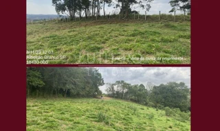 Imóvel 2917879 [''] - ['Caçador do Meio,'] ['Taquaral'] - ['Ribeirão Branco']/['SP'] - 1