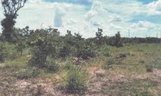 Imóvel 2630179 ['IDR186712'] - ['Rodovia Plamiro Paes de Barros, Lote 01, Quadra 05, Residencial Nova Esperança - Vila Klareana, Cuiabá, MT, 78098-570'] ['Centro'] - ['Cuiabá']/['MT'] - 1