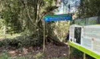 Imóvel 2603279 [''] - ['Sertão, na Trindade, 4º Subdistrito'] ['Centro'] - ['Florianópolis']/['SC'] - 1