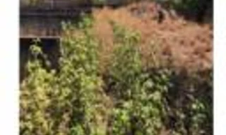 Imóvel 2662179 [''] - [''] [''] - ['Brasília']/['DF'] - 1