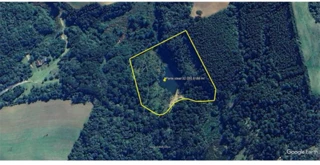 Imóvel 3068379 [''] - ['Parte ideal de 6,9706% do terreno rural com área superficial correspondente a 32.050,82m², situado no lugar denominado Caivinhas'] [''] - ['Tijucas Do Sul']/['PR'] - 1