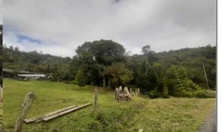 Imóvel 2949579 [''] - ['Terra rural situada em Campina Grande do Sul'] [''] - ['Campina Grande Do Sul']/['PR'] - 1