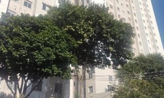 Imóvel 2845580 ['8787711190732'] - ['RUA CARLOS MARIA STEIMBERG,N. 194 APTO. 01 TORRE B, VILA RE - CEP: 03669-000, SAO PAULO - SAO PAULO'] ['Vila Ré'] - ['São Paulo']/['SP'] - 1