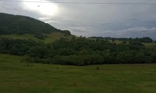 Imóvel 2915680 [''] - [', S/N - INTERIOR'] [''] - ['São Pedro Do Sul']/['RS'] - 1