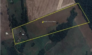 Imóvel 2930280 [''] - ['ÁREA PIRATINI E ÁREA RINCÃO DOS MORAES, S/N, ZONA RURAL'] [''] - ['São Miguel das Missões']/['RS'] - 1