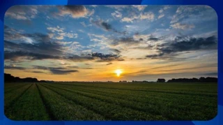 Imóvel 2443480 [''] - ['Loteamento Pier 99 Resort'] [''] - ['Nova Ponte']/['MG'] - 1