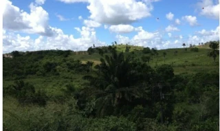 Imóvel 2647780 [''] - ['Rodovia Ba 521 (Via Matoim) Km 1, s/n - Madeira - Candeias / BA'] [''] - ['Candeias']/['BA'] - 1