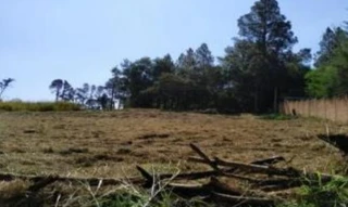 Imóvel 2551080 [''] - ['Avaré, SP'] [''] - ['Avaré']/['SP'] - 1