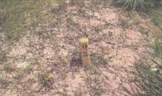 Imóvel 2630180 ['IDR186713'] - ['Rodovia Plamiro Paes de Barros, Lote 02, Quadra 05, Residencial Nova Esperança - Vila Klareana, Cuiabá, MT, 78098-570'] ['Jardim Nossa Sra. Aparecida'] - ['Cuiabá']/['MT'] - 1