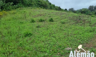 Imóvel 2660980 [''] - ['Linha Frei Clemente'] [''] - ['Barros Cassal']/['RS'] - 1