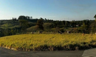 Imóvel 2699780 [''] - ['Rua 06, 9 - Lote 09 - Quadra A - Residencial Recanto Tropical - Engenheiro Coelho / SP'] [''] - ['Engenheiro Coelho']/['SP'] - 1