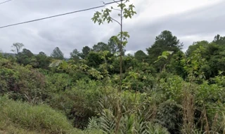 Imóvel 2333080 [''] - ['Mirim Doce, SC'] [''] - ['Mirim Doce']/['SC'] - 1