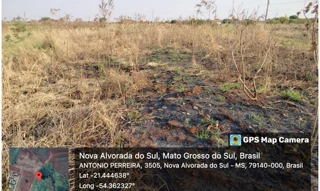 Imóvel 2961480 [''] - ['Avenida Otaviano Marson, 1302 - Quadra 105, Lote 01 - Loteamento Maria de Lourdes Marson Expansão III - Nova Alvorada do Sul / MS'] [''] - ['Nova Alvorada Do Sul']/['MS'] - 1