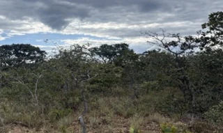 Imóvel 3026581 [''] - ['Estrada Municipal, s/nº - Área rural, denominada Fazenda Lage - Gleba 01 - Zona Rural - Rio Pardo de Minas / MG'] [''] - ['Rio Pardo De Minas']/['MG'] - 1