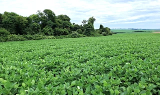 Imóvel 2696181 [''] - ['INTERIOR'] [''] - ['São Miguel das Missões']/['RS'] - 1