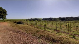 Imóvel 2715881 [''] - ["Estrada Municipal, s/nº - Sítio Água Rasa - Gleba Pau Dalho - São João do Pau D'alho / SP"] [''] - ["São João do Pau d'Alho"]/['SP'] - 1