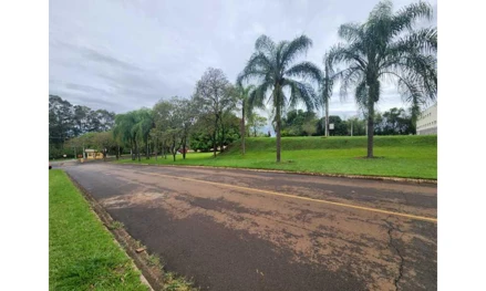 Galpão em Paulínia, Betel, Avenida Doutor Roberto Moreira, 4000, SP. Área: nullm2 - imagem 0