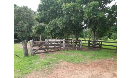 Imóvel rural em Rondonópolis, Jardim Paulista, R. Filadelfio Teixeira de Souza, MT. Área: 35m2
