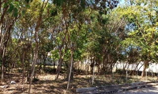 Imóvel 2663781 [''] - ['Rua Bento Romero,'] [''] - ['Belo Horizonte']/['MG'] - 1