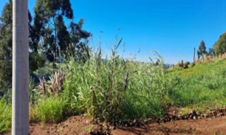 Imóvel 2664681 ['IDR186875'] - ['Rua Carlos Maggioni, S/N, Lote N°02, Quadra N°104, Interior, Cordilheira Alta, SC, 89819-000'] [''] - ['Cordilheira Alta']/['SC'] - 1